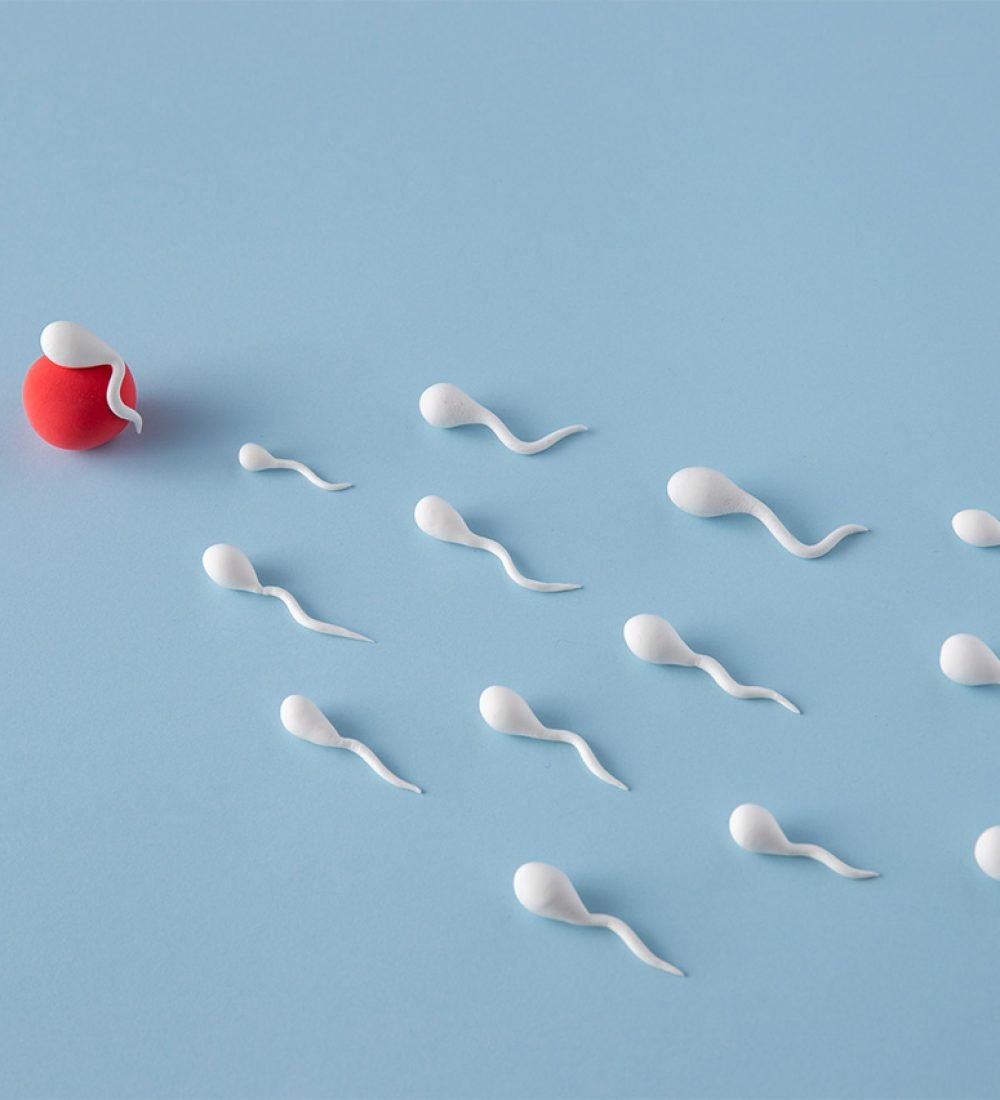Men’s Fertility Assessment